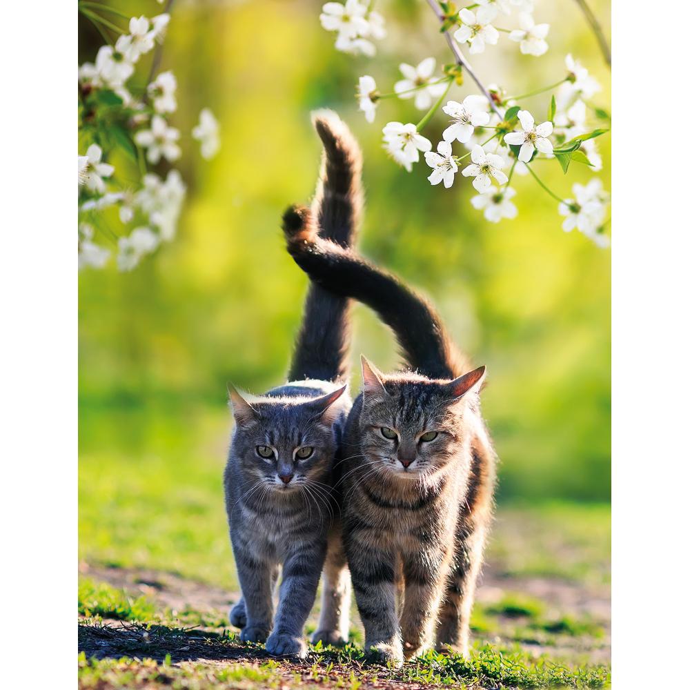 Tushita Paperart Publishing, Heft + Block, Cats (Liniert, Kein Einband)