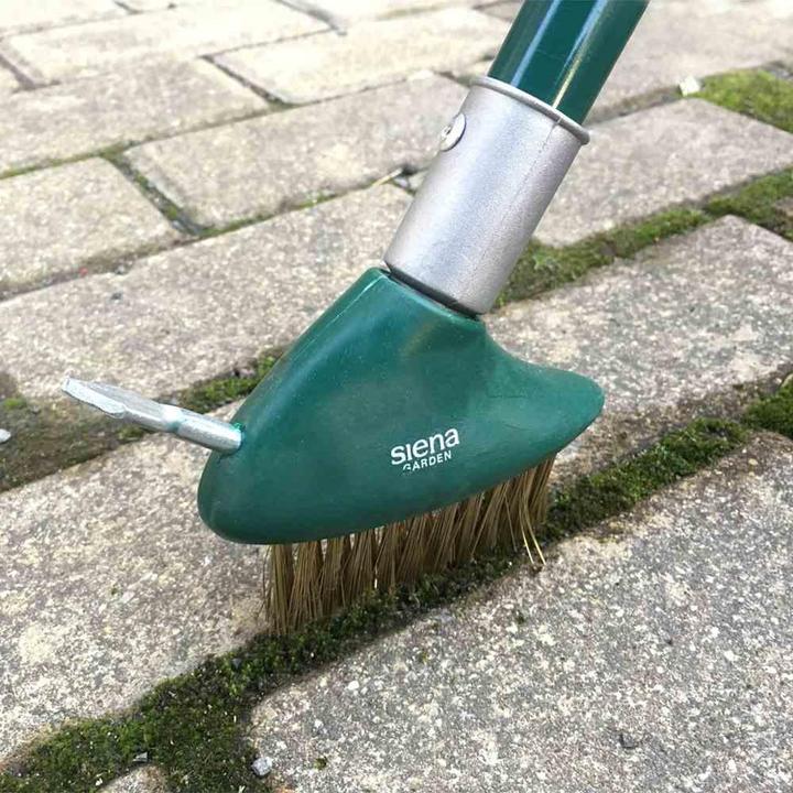 Image du produit Siena Garden Brosse à joints