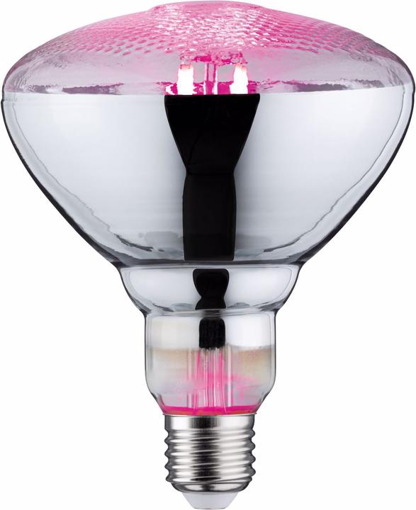 Paulmann Grow Green Pflanzenlampe PAR38 (LED, 230 V)