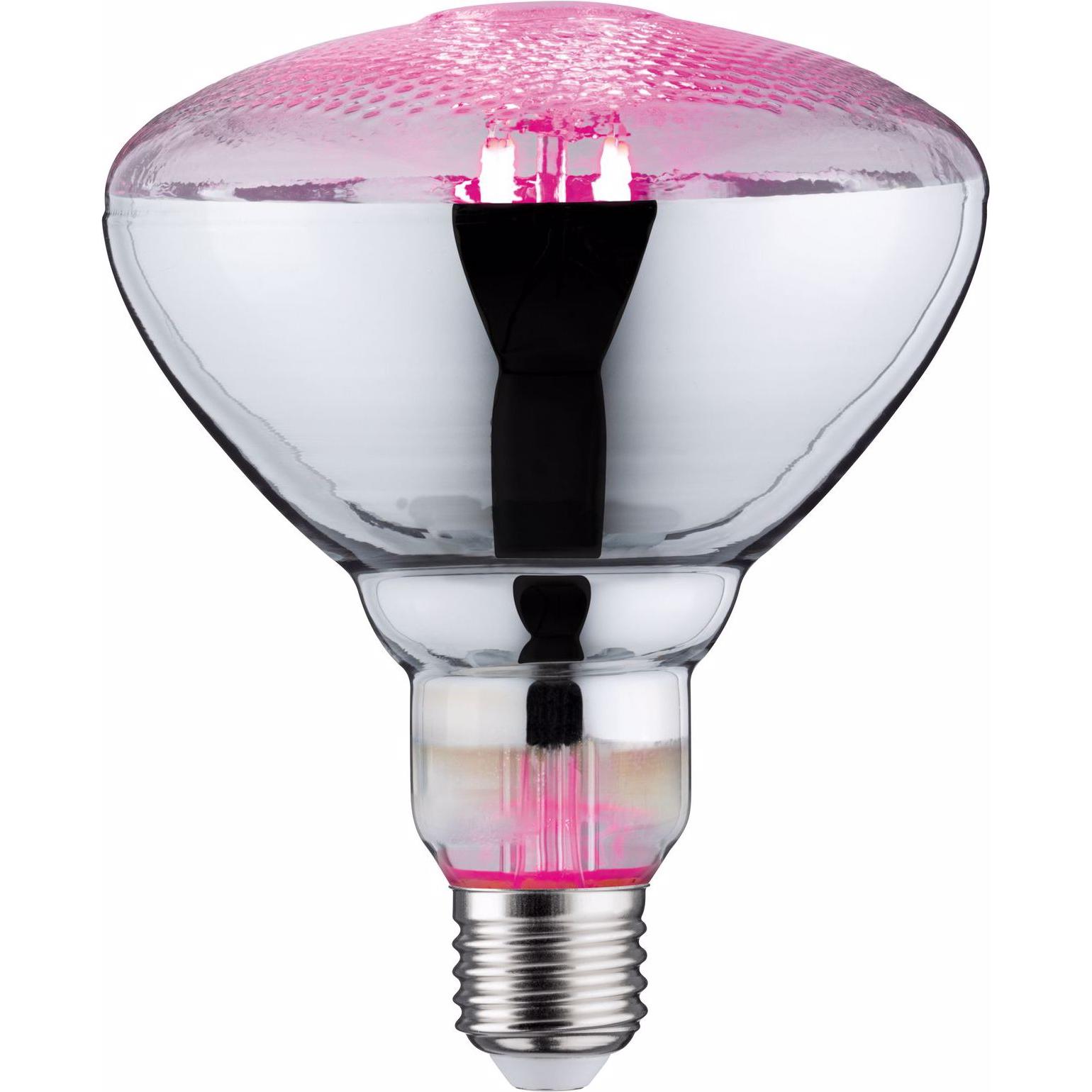 Thumbnail - Paulmann, Pflanzenlampe, Pflanzenlampe (LED, 230 V)