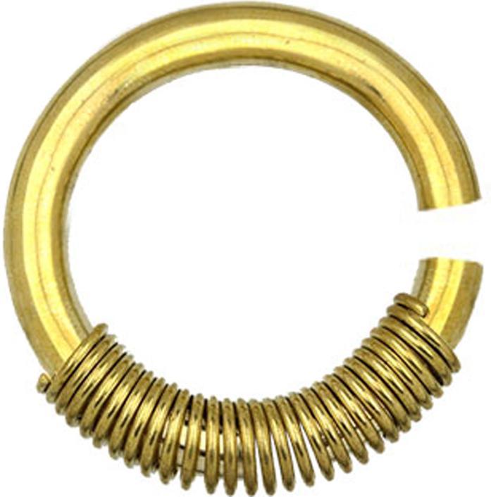 Produktbild Star Piercing Ohrgewicht Ring vergoldet Springfeder (Messing)