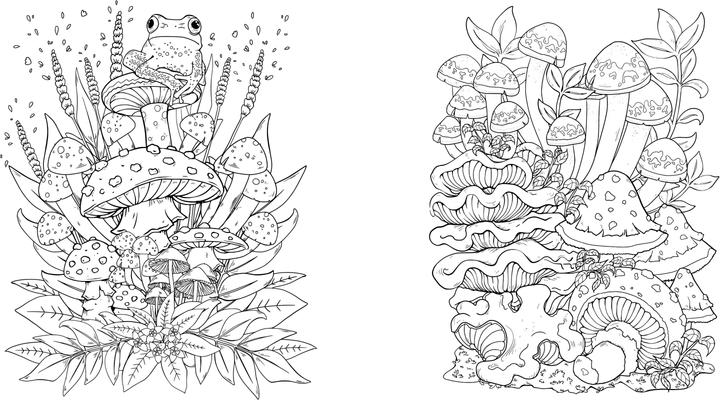 Produktbild Faszinierende Pilze