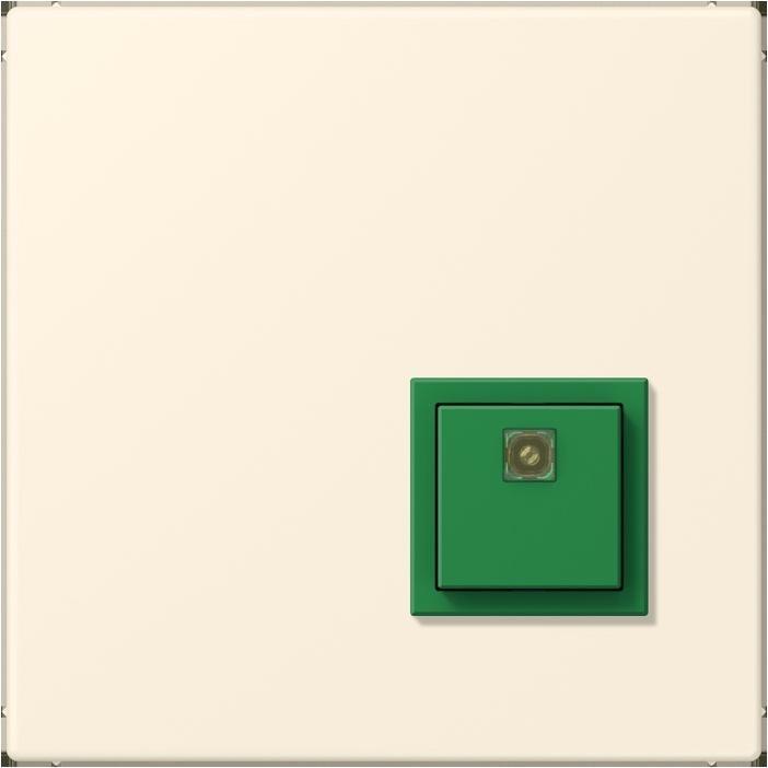 Actual product image JUNG Switch-off button