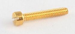 Actual product image AllParts AP GS 5453-002 Polepiece screws gold (Instrument spare parts)