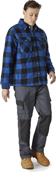 Actual product image Dickies Portland (3XL)