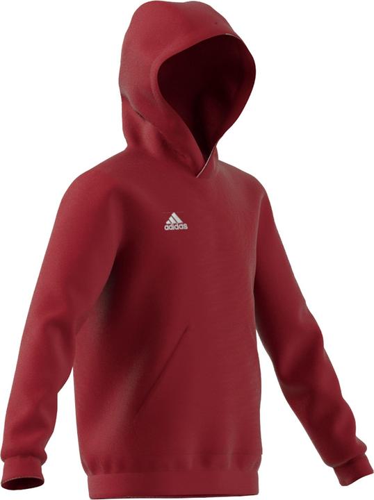 Immagine prodotto adidas Entrada 22 felpa con cappuccio per bambini (116)