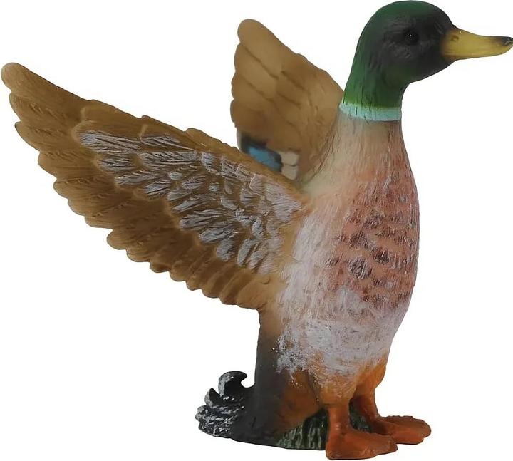 Image du produit Collecta Colvert Mâle (S)