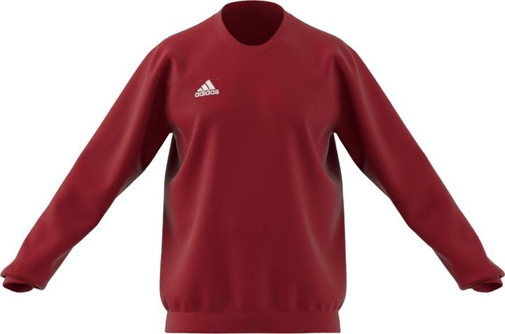 Actual product image adidas Entrada 22 sweatshirt men (XL)