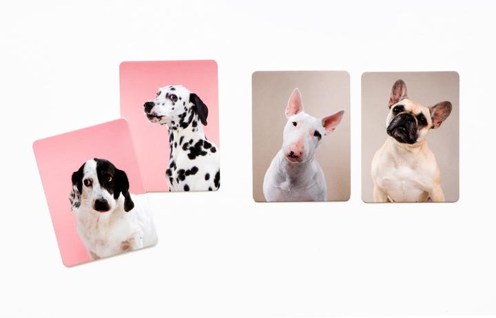 Produktbild Hundesprache (Deutsch, 1 - 2 Spieler)