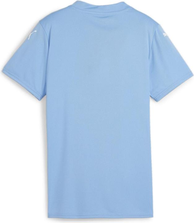 teamlightbluepumawhiteclearsea