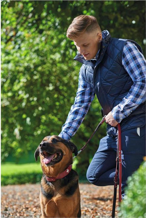 Produktbild Hunter Swiss (Hund, Spazieren)