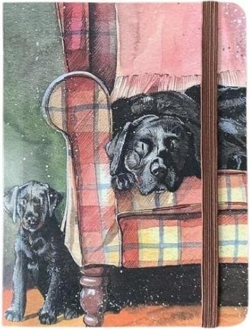 Image du produit Teka Notizbuch mit Radiergummi A6 SCN32 Psy Sophie&Scarlett (A6, À rayures)