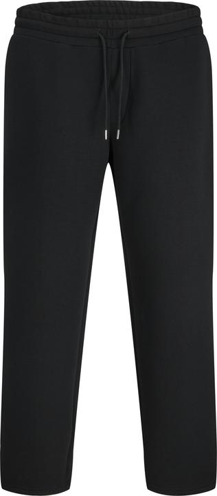 Actual product image Jack & Jones Loose Fit Loose Fit Hosen Loose Fit Hosen (XS)