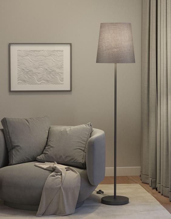 Actual product image Paulmann Stellan II 80105 Stehlampe E27 Grau (E27)