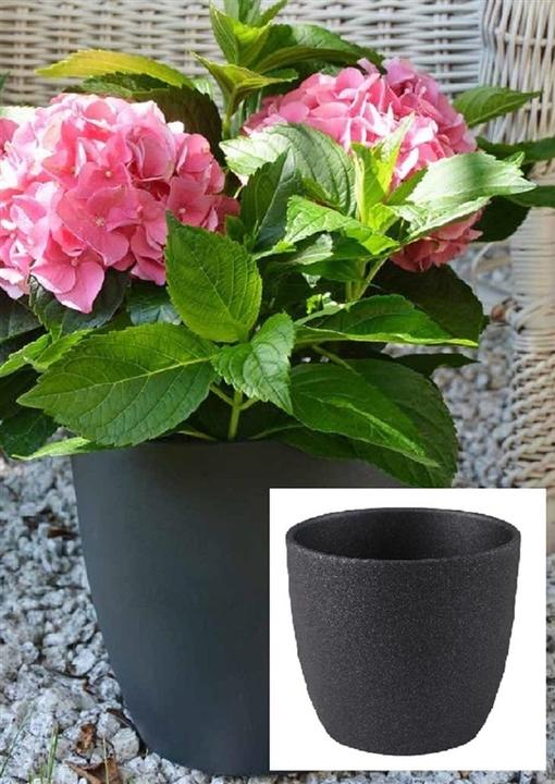 Produktbild Domoletti Ceramic pot, EMI, Ø 18 cm, graphite (18 x 13.50 cm)