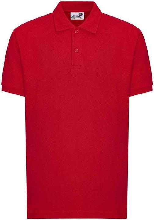 Actual product image Awdis Academy polo shirt (128)