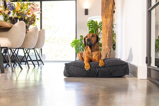 Image du produit Designed by Lotte Coussin de couchage Ribbed (Chien)