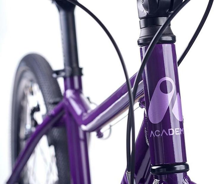 Image du produit Academy Grade 5 Belt (24")