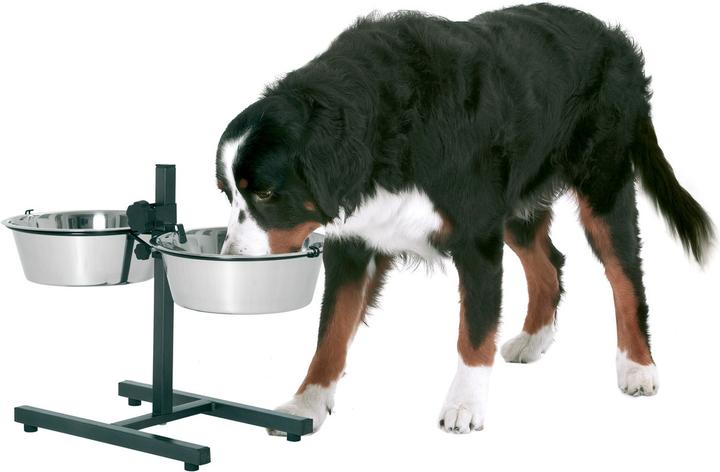 Actual product image Karlie Otis Plus (1.60 l)