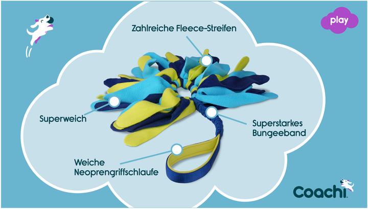 Actual product image Company of Animals Coachi reward game Tuggi Spider (Dog activity toy)