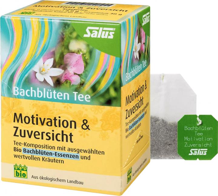 Immagine prodotto Salus Tè di Fiori di Bach Motivazione e Fiducia Tè organici (64 g)
