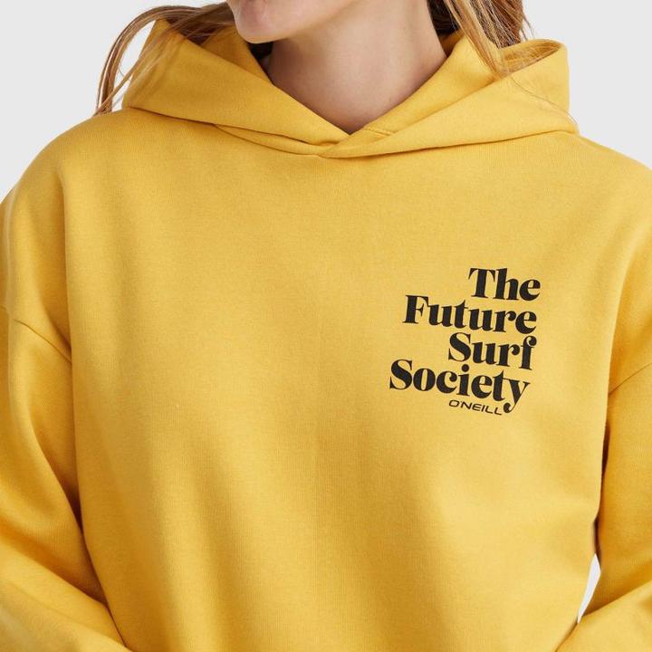 Produktbild O'Neill Future Surf Society Hoodie (S)