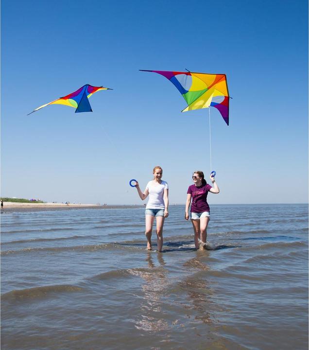 Produktbild Invento Drachen Delta Rainbow 3 m