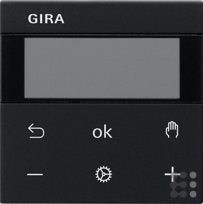Gira RTR Display 5393005