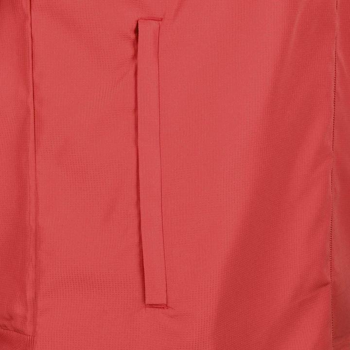 Actual product image adidas RBFA Belgium EM 2020 Men's Presentation Jacket (M)