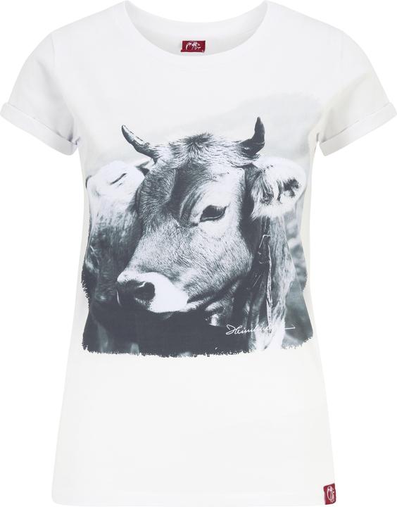 Allgäu cow