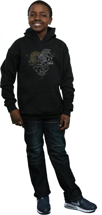 Actual product image Boys Thestral Line Art Hoodie (140, 146)