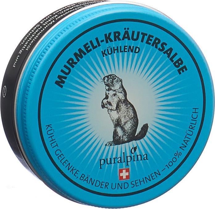 Image du produit Puralpina Pommade aux herbes Murmeli rafraîchissante (1 x, 50 ml, 70 g)