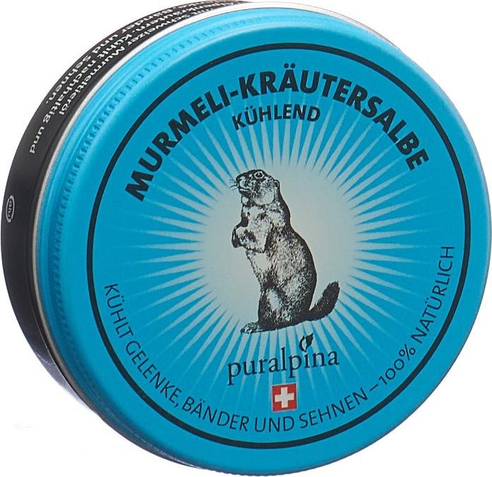 Actual product image Puralpina Murmeli herbal ointment cooling (1 x, 50 ml, 70 g)