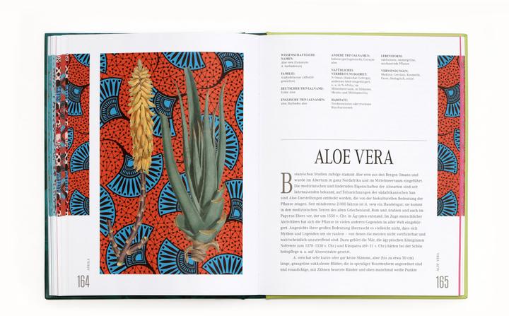 Actual product image Ethnobotanik (German, Bettina Eschenhagen, Sarah Dr Edwards, 2024)