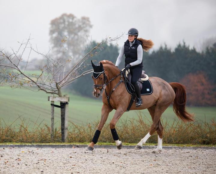 Actual product image HFI Master Velvet