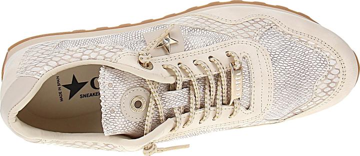 Image du produit Cetti C-848 SRA V26 (40)