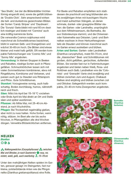 Produktbild Das grosse Buch der Stauden und Sommerblumen (Deutsch, Joachim Mayer, 2025)