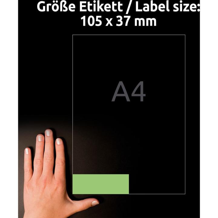 Actual product image Avery Farbige labels