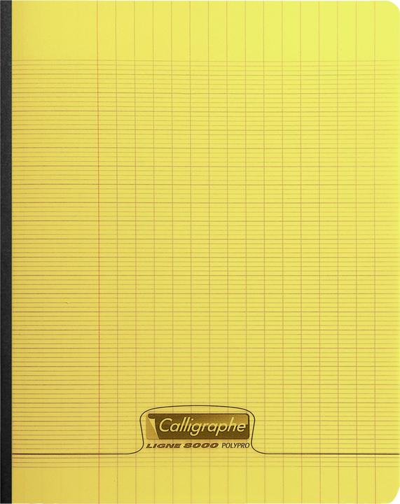 Image du produit Clairefontaine Cahier brochure 8000 POLYPRO 17x22 cm 288 pages grands carreaux 90 g - (Couverture souple)