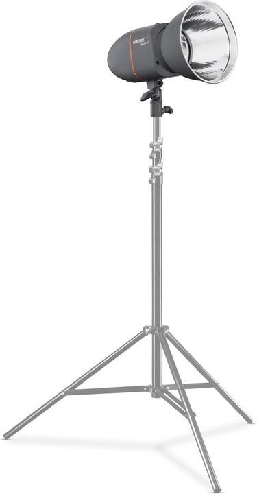 Actual product image Walimex pro per Newcomer 100 Studio Flash (Flash head, 75 Ws)