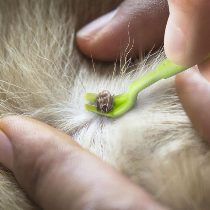 Produktbild Suba Zeckenhaken (Katze, Hund)