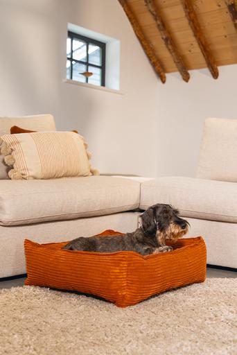 Actual product image Designed by Lotte Ribbed (Dog)