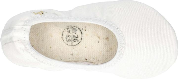 Actual product image Lico G1 (30)