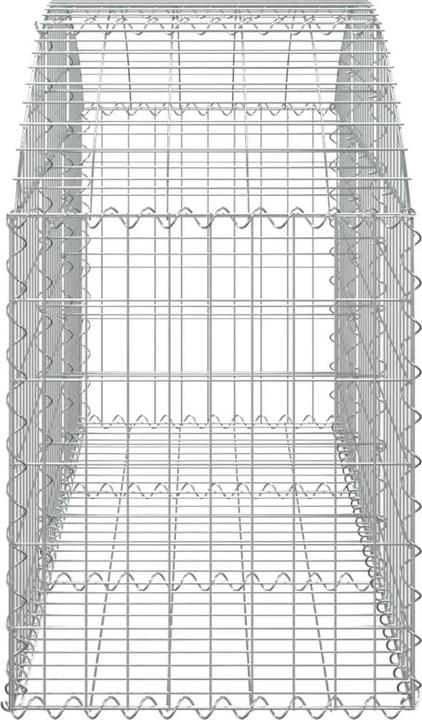 Image du produit vidaXL Gabionenkorb