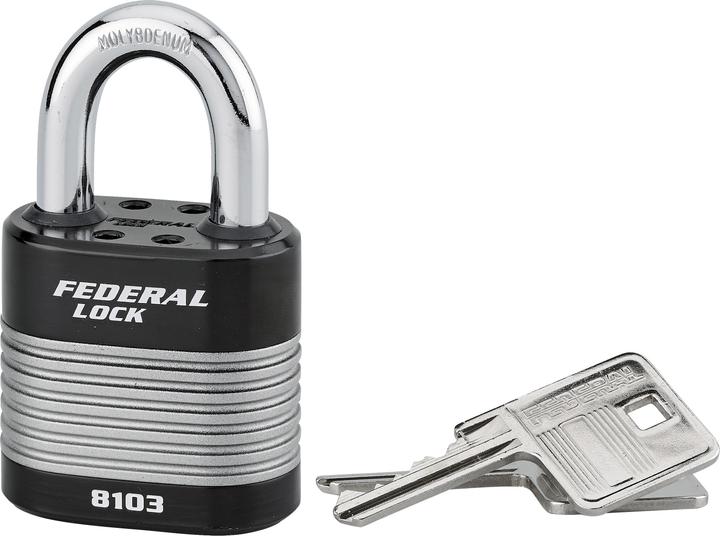 Thirard Cadenas à clé fédéral lock protector, extérieur, acier, double verrouillage, 50mm, 2 clés -