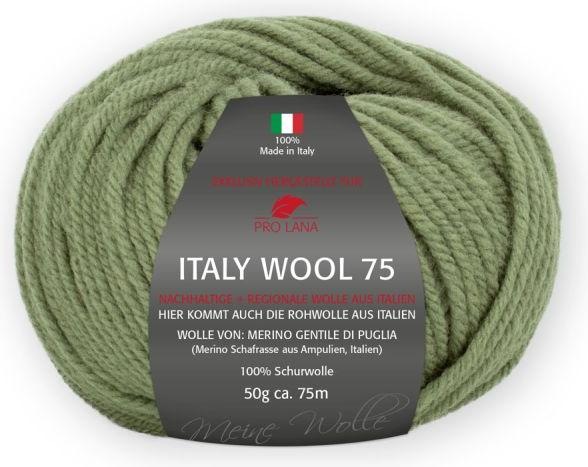 Actual product image Pro Lana approx. 75 m col. 271 50 g (75 m)