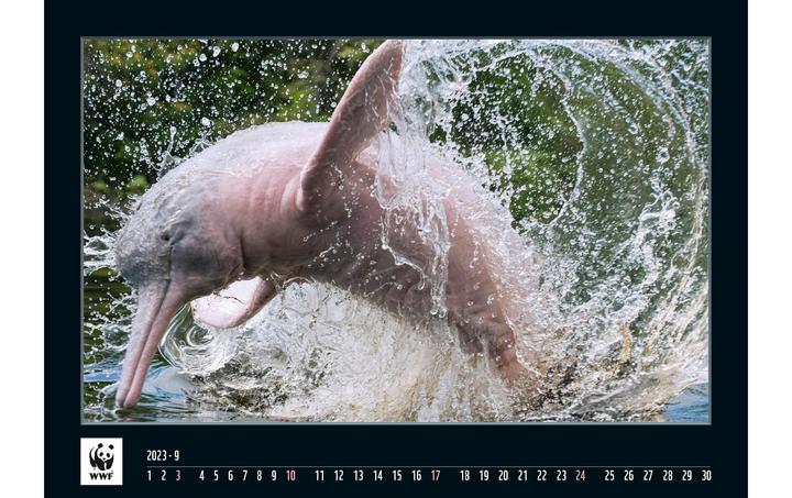 Produktbild Simplex WWF Wandkalender 2023 (48.5 x 34 cm)