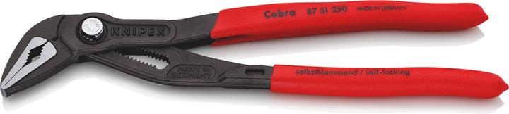 Actual product image Knipex Cobra ES (250 mm)