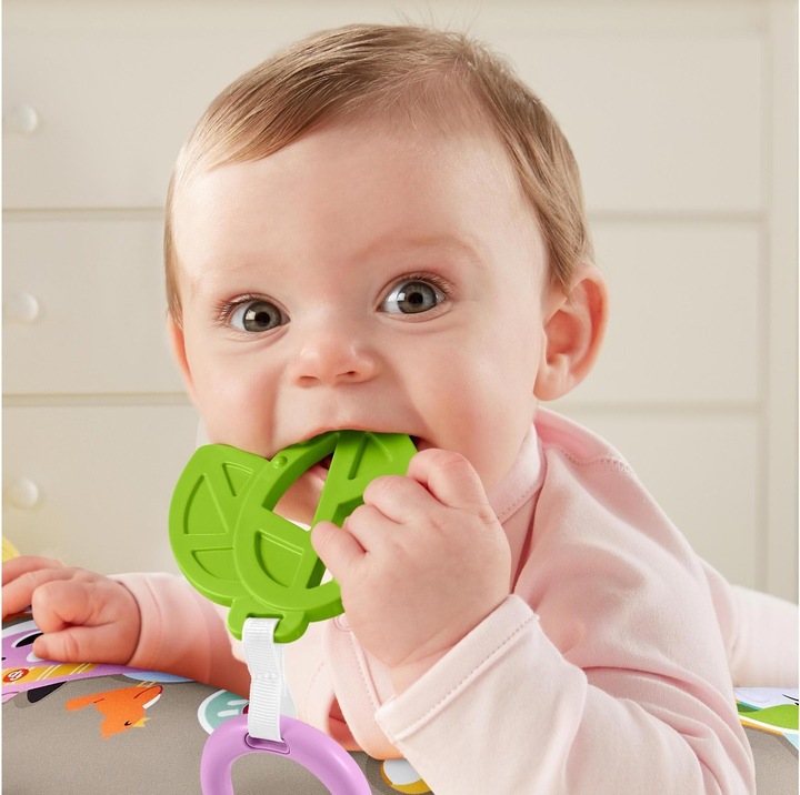 Actual product image Fisher-Price Music & Vibe Sloth Belly Wedge (German)