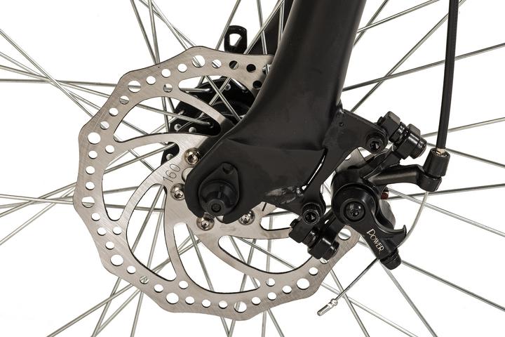 Actual product image Wyld Mountainbike Hardtail 29" Sharp Scheibenbremse platin-grau 21 Gänge (46 cm)